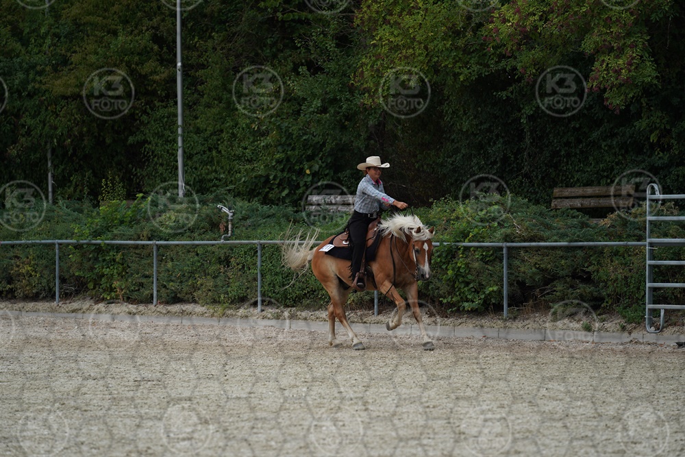 A9_01535.JPG